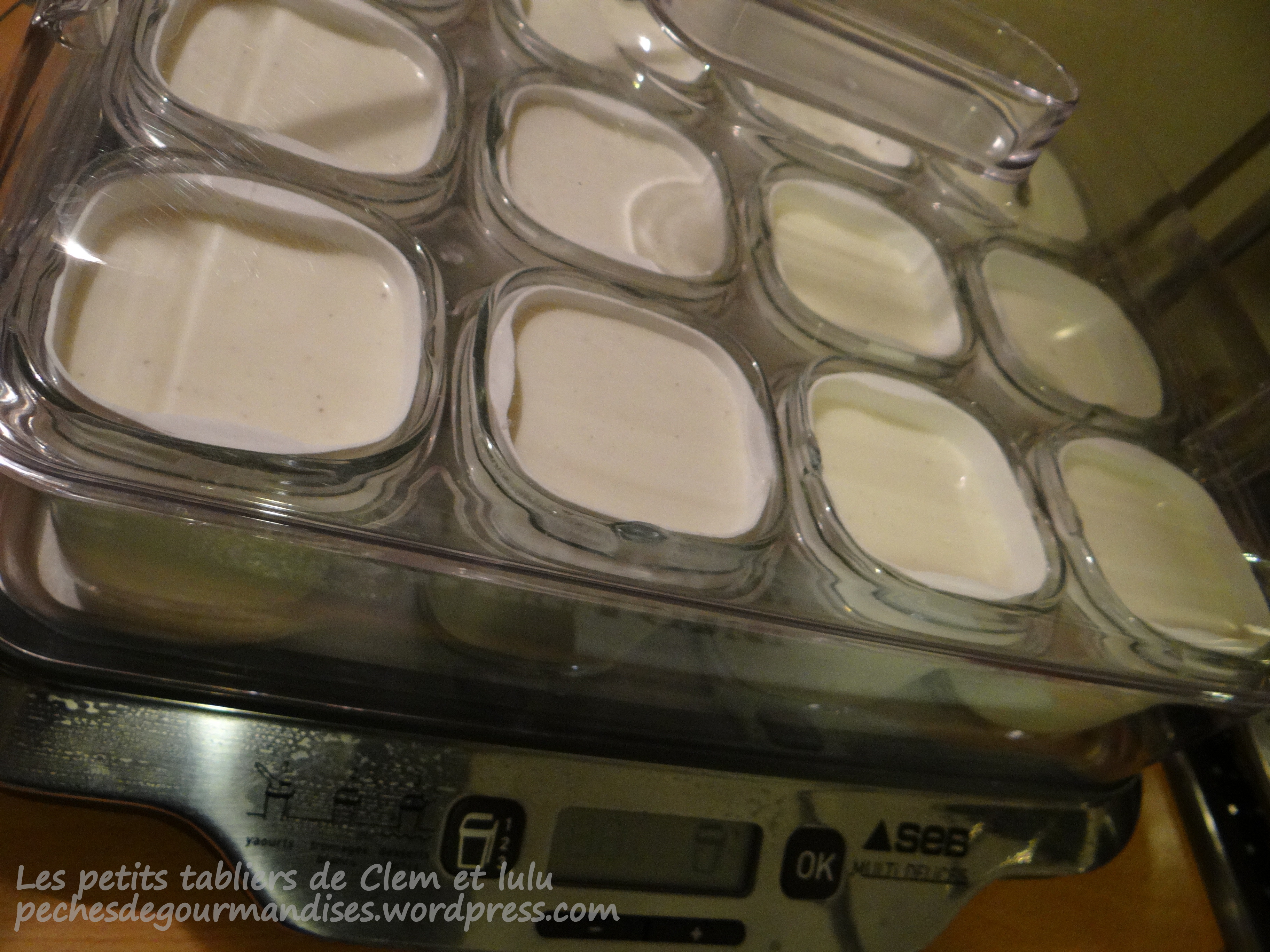 Les ptits délices à la vanille (ou petits-suisses maison)…
